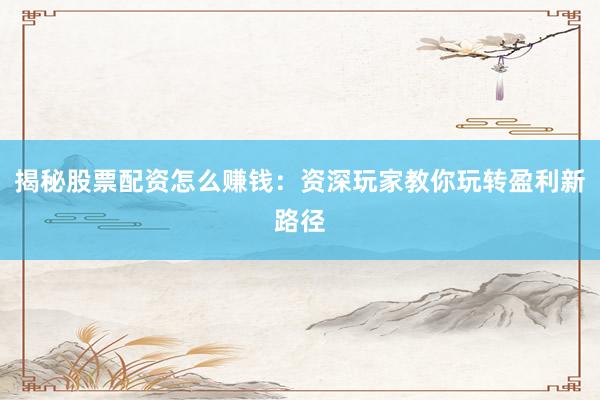 揭秘股票配资怎么赚钱：资深玩家教你玩转盈利新路径