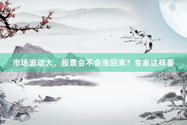 市场波动大，股票会不会涨回来？专家这样看