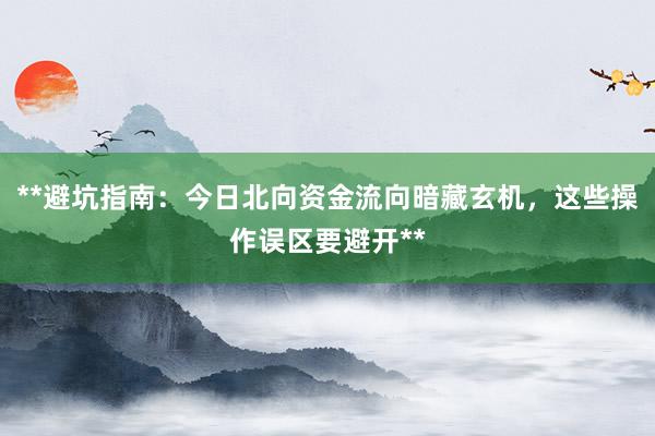 **避坑指南：今日北向资金流向暗藏玄机，这些操作误区要避开**