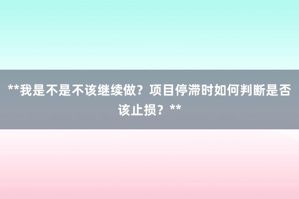 **我是不是不该继续做？项目停滞时如何判断是否该止损？**