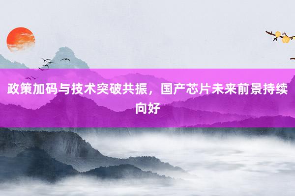 政策加码与技术突破共振，国产芯片未来前景持续向好